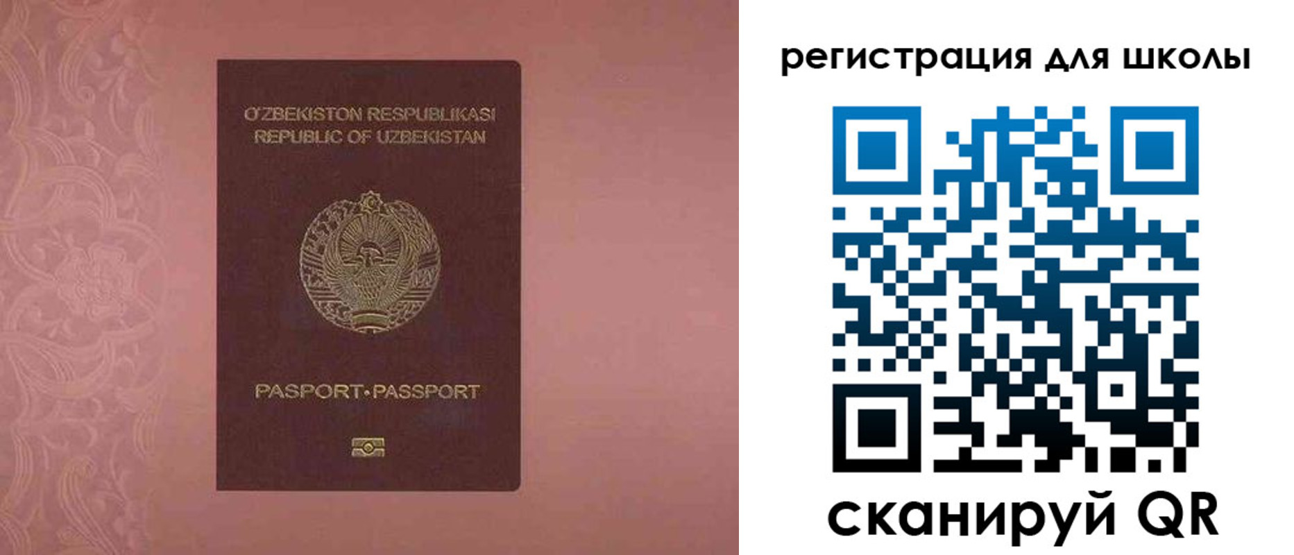 прописка для школы в Волосово