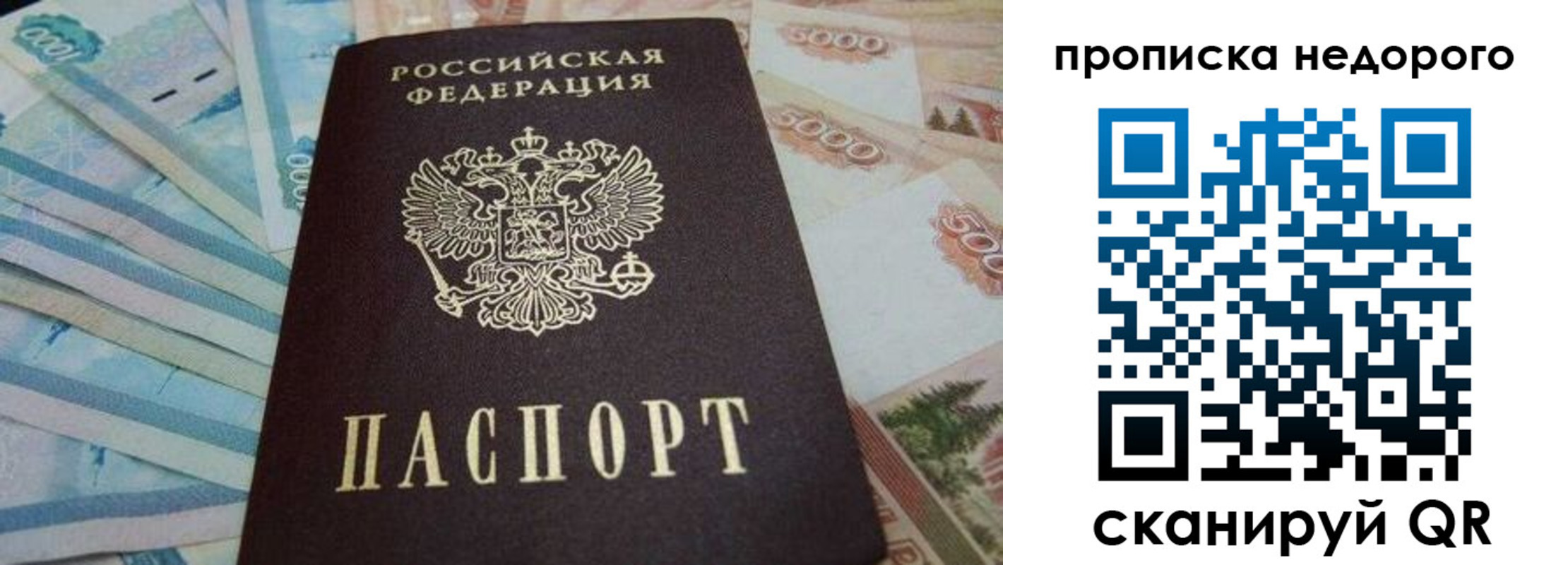 временная регистрация поиск в Волосово