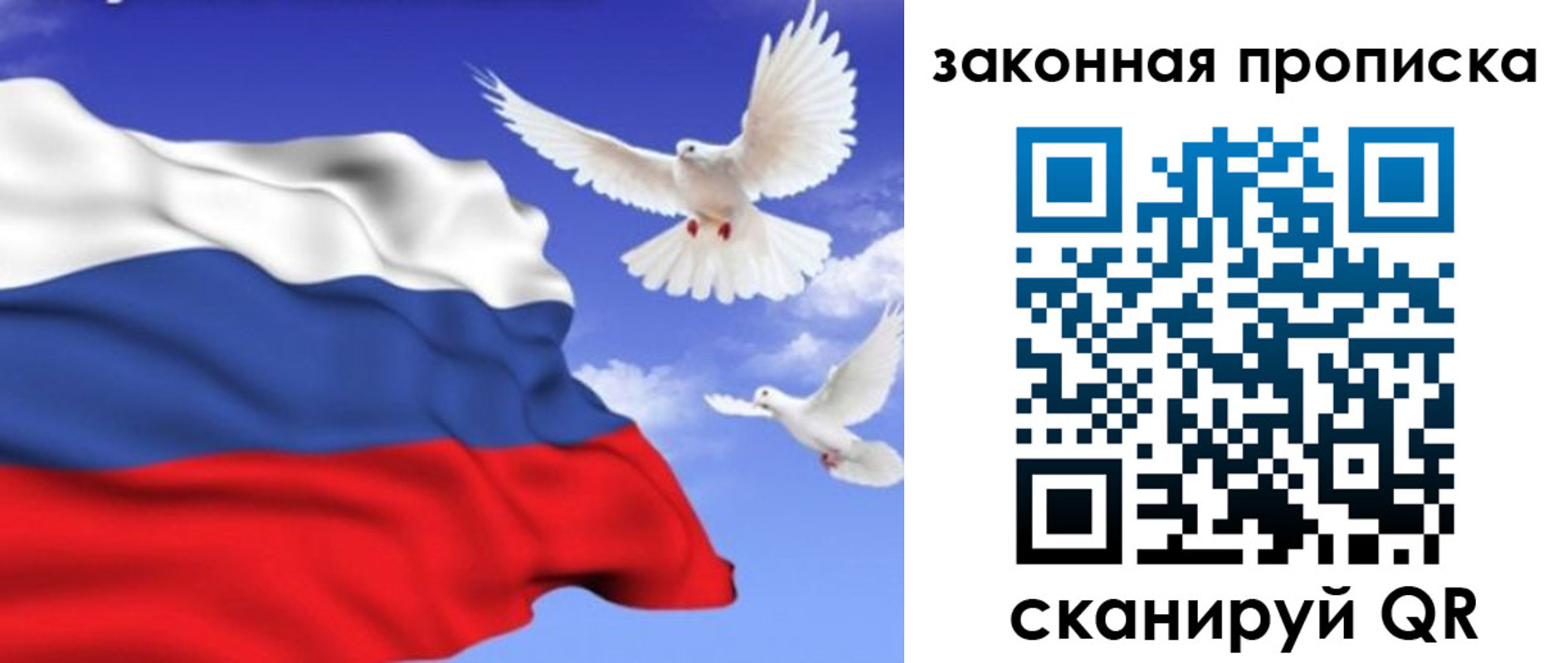 регистрация в Волосово